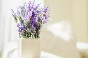 103 Stoneridge Ln 2210, San Francisco, CA 94134 - Photo 52