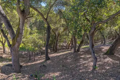 245 Calle De Los Agrinemsors, Carmel Valley, CA 93924 - Photo 30