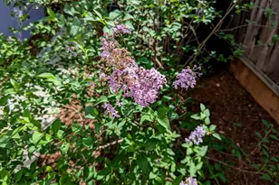 1418 Meadow Ln, Mountain View, CA 94040 - Photo 30