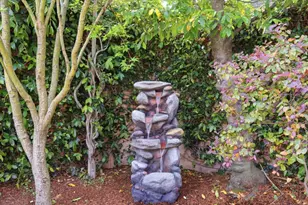 206 Thompson Ave, Mountain View, CA 94043 - Photo 38