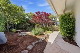 206 Thompson Ave, Mountain View, CA 94043 - Photo 4