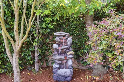 206 Thompson Ave, Mountain View, CA 94043 - Photo 36