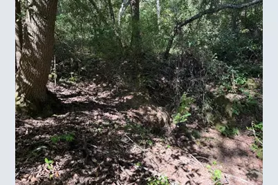 0 Canyon Vista, Los Gatos, CA 95033 - Photo 10