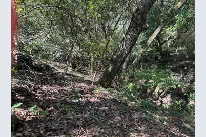 0 Canyon Vista, Los Gatos, CA 95033 - Photo 6