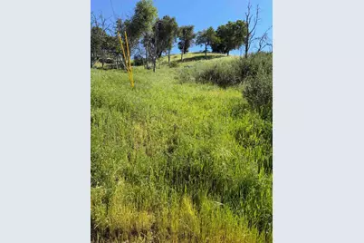 109 Trampa Canyon Road, Carmel Valley, CA 93924 - Photo 6