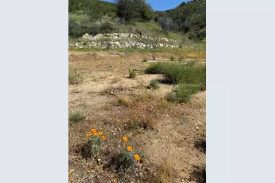 109 Trampa Canyon Road, Carmel Valley, CA 93924 - Photo 12