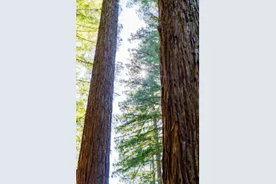 23535 Treeview Trl, Los Gatos, CA 95033 - Photo 62