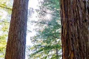 23535 Treeview Trail, Los Gatos, CA 95033 - Photo 62