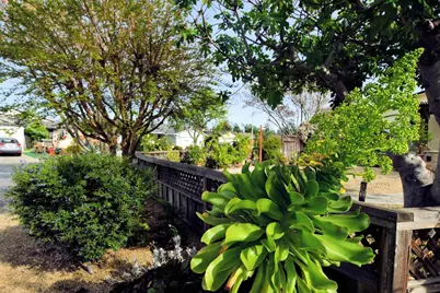 321 Via Loma, Morgan Hill, CA 95037 - Photo 4