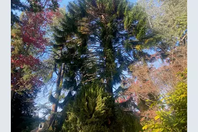 269 Selby Ln, Atherton, CA 94027 - Photo 32