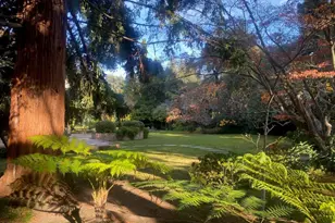 269 Selby Ln, Atherton, CA 94027 - Photo 10