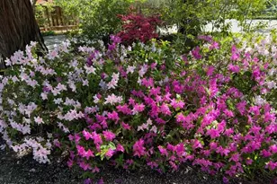 269 Selby Ln, Atherton, CA 94027 - Photo 24