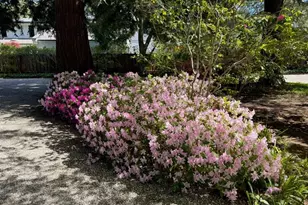 269 Selby Ln, Atherton, CA 94027 - Photo 18