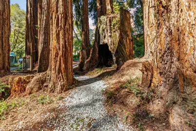 250 Keller Dr, Boulder Creek, CA 95006 - Photo 30