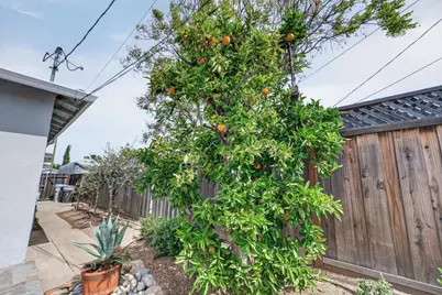 5164 Montreal Dr, San Jose, CA 95130 - Photo 36