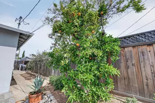 5164 Montreal Dr, San Jose, CA 95130 - Photo 36