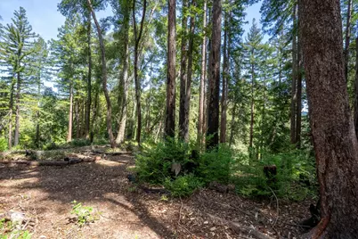 973 Forest Way, Brookdale, CA 95007 - Photo 52