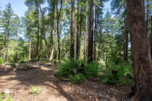 973 Forest Way, Brookdale, CA 95007 - Photo 52