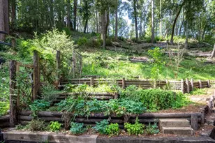 973 Forest Way, Brookdale, CA 95007 - Photo 32