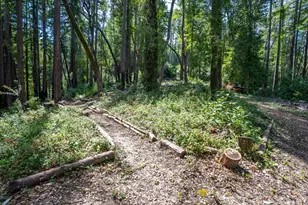 973 Forest Way, Brookdale, CA 95007 - Photo 50