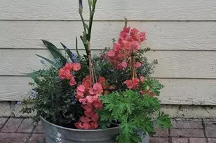 7350 Carter Ave, Newark, CA 94560 - Photo 30