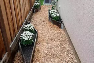 217 Athena Ct, Mountain View, CA 94043 - Photo 40