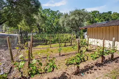 14176 Quail Acres, Saratoga, CA 95070 - Photo 36