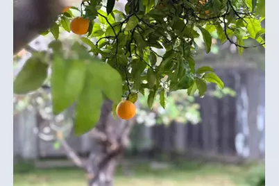 333 John St, Santa Cruz, CA 95060 - Photo 6