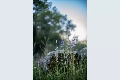 13804205 Pennyroyal Ln, Prather, CA 93651 - Photo 2