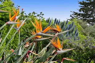 1976 Luzern St, Seaside, CA 93955 - Photo 42