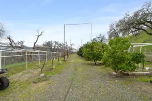 1525 Headlands Dr, Napa, CA 94558 - Photo 66