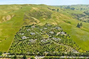 2698 Greenrock Rd, Milpitas, CA 95035 - Photo 90