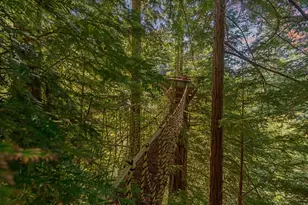 2950 Bear Canyon Rd, Los Gatos, CA 95033 - Photo 96