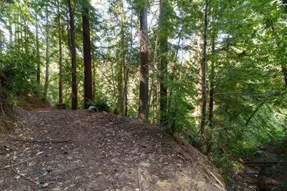 2950 Bear Canyon Rd, Los Gatos, CA 95033 - Photo 78