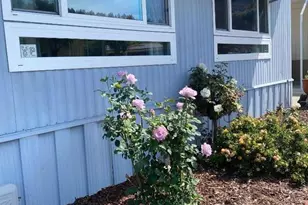 444 Whispering Pines Dr 173, Scotts Valley, CA 95066 - Photo 4