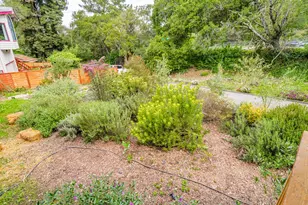 888 Bonita Dr, Aptos, CA 95003 - Photo 44