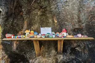 11931 Hwy 9, Boulder Creek, CA 95006 - Photo 46