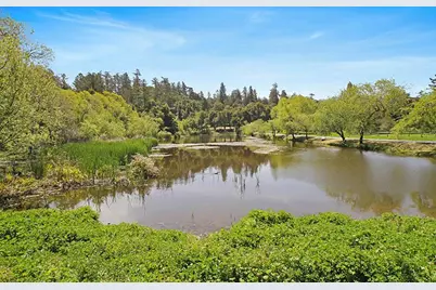 75 Redwood Dr, La Honda, CA 94020 - Photo 40