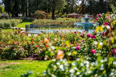 1486 Burrell Ct, San Jose, CA 95126 - Photo 78