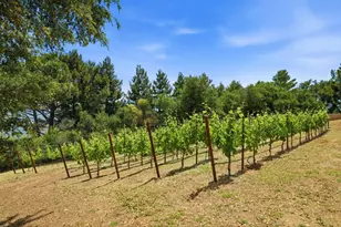 19534 Montevina Rd, Los Gatos, CA 95033 - Photo 58