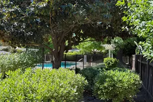 845 Division St D, Pleasanton, CA 94566 - Photo 20