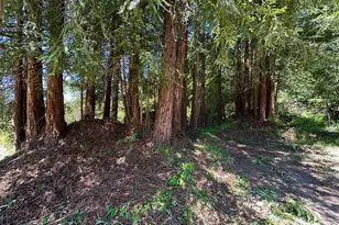 5601 Freedom Blvd, Aptos, CA 95003 - Photo 42