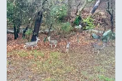 1212 Shelby Creek Ln, San Jose, CA 95120 - Photo 56