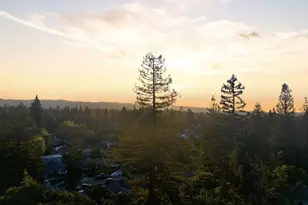 345 Vine St, Menlo Park, CA 94025 - Photo 52