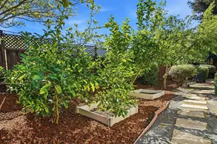 733 Vineyard Terrace, Pleasanton, CA 94566 - Photo 40