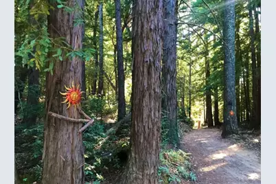 Lot 58 Skyview Ridge Rd, Boulder Creek, CA 95006 - Photo 48