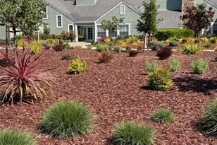 337 Mill Pond Dr 337, San Jose, CA 95125 - Photo 38