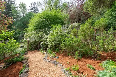 377 Wayside Rd, Portola Valley, CA 94028 - Photo 26