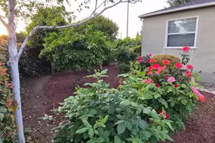 1993 De La Pena Ave, Santa Clara, CA 95050 - Photo 4