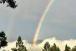 16000 Redwood Lodge Rd, Los Gatos, CA 95033 - Photo 52